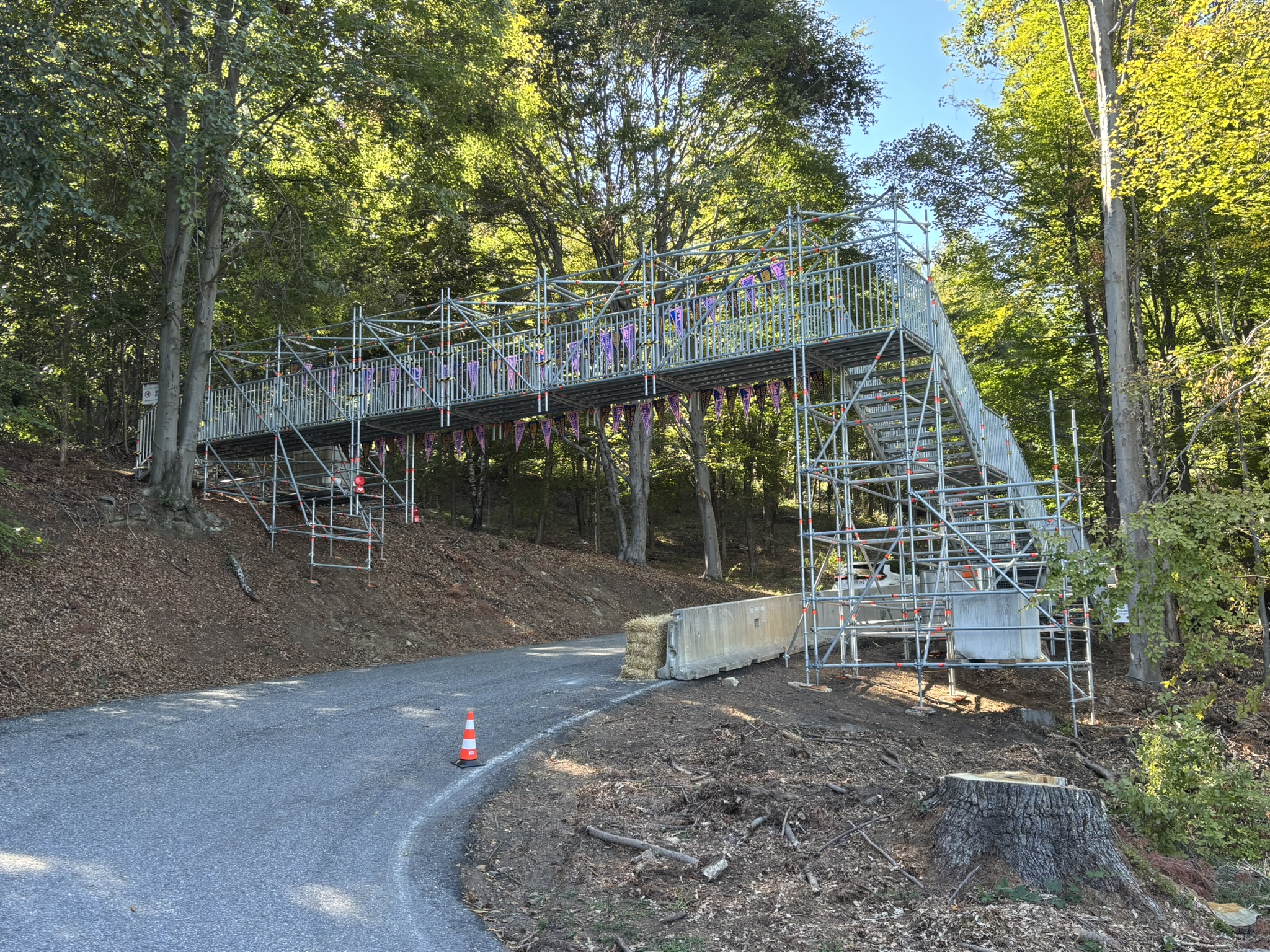 Noleggio Torri scale e passerelle (16)