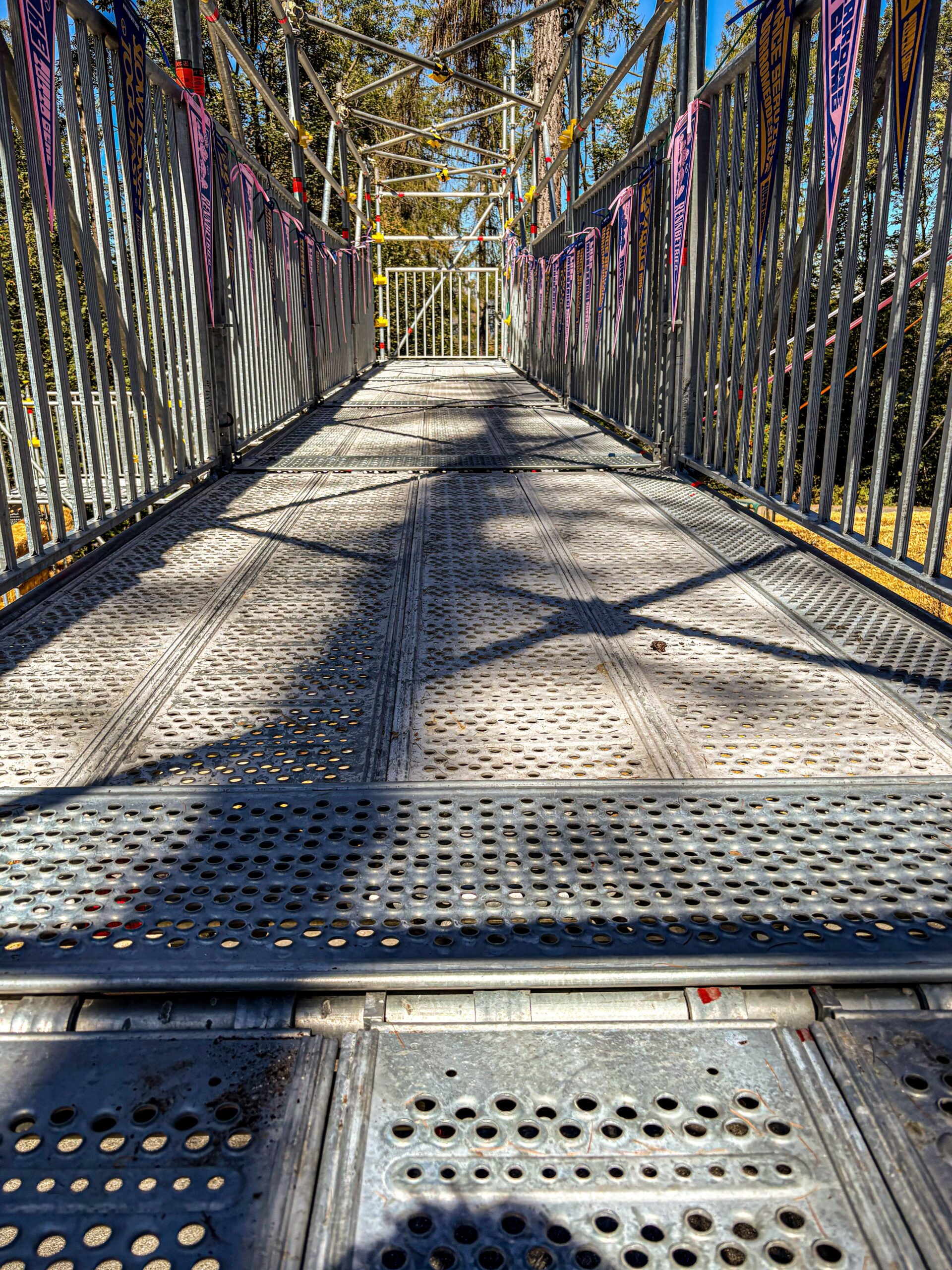 Passerelle provvisoria ad uso pubblico eventi (13)